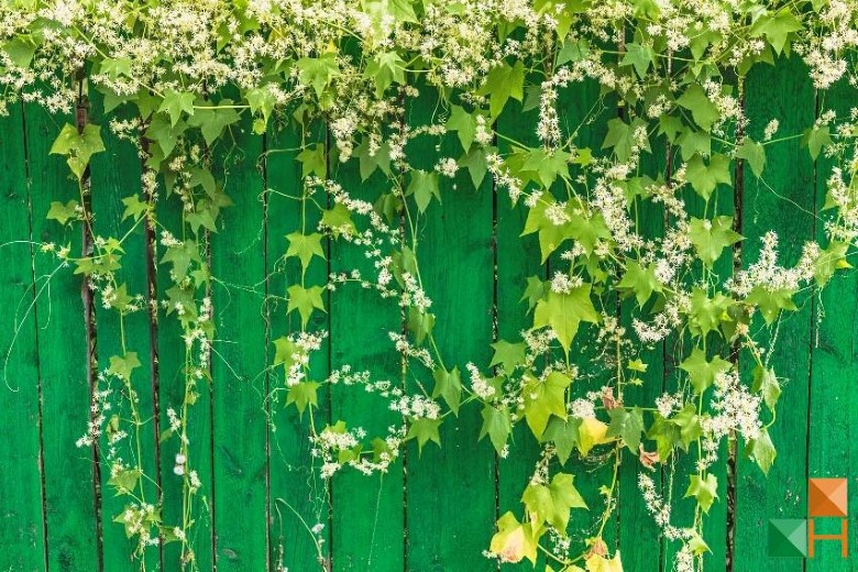 Tranh dán tường cho phòng khách đẹp tại Hà Nội NA - 031